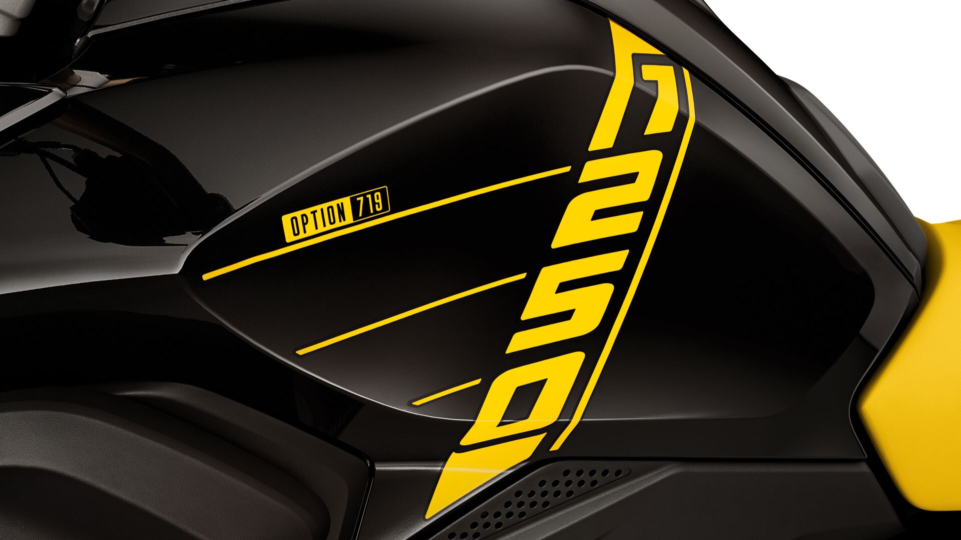 Vediamo la R 1250 GS dall'alto con scritta 1250 e il motore boxer sporgente con coperchio della testata cilindri dell'Option 719.