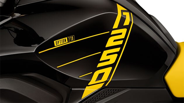 Vediamo la R 1250 GS dall'alto con scritta 1250 e il motore boxer sporgente con coperchio della testata cilindri dell'Option 719.
